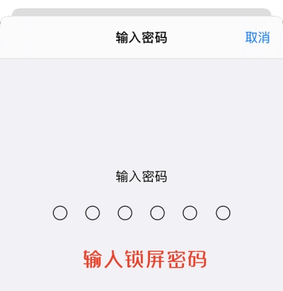 STEP 4：输入锁屏密码安装